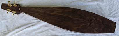 Barbara Allen™ Dulcimer at https://gibsondulcimers.com/dulcimers_in_stock.html